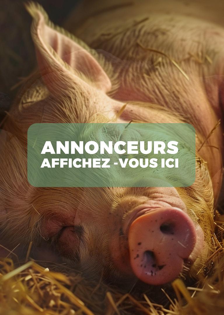 Publicité 4