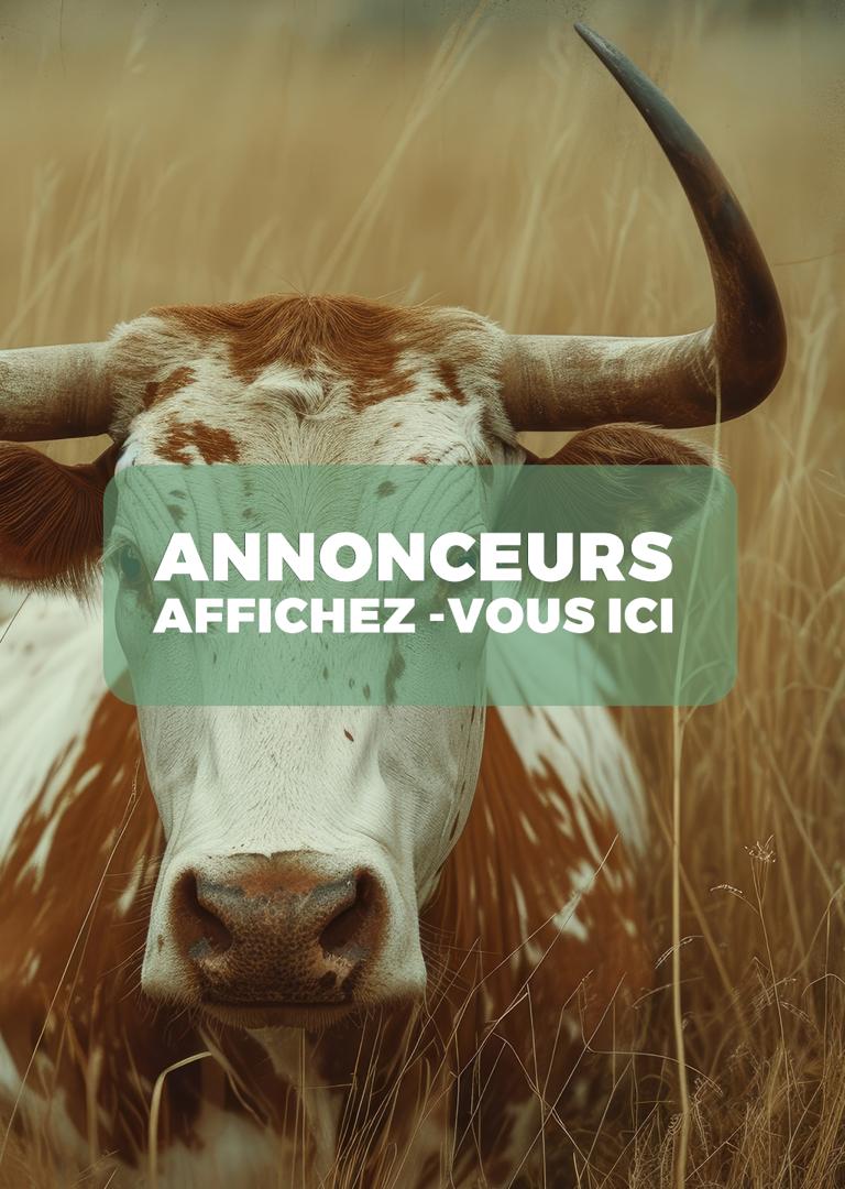Logo partenaire 5