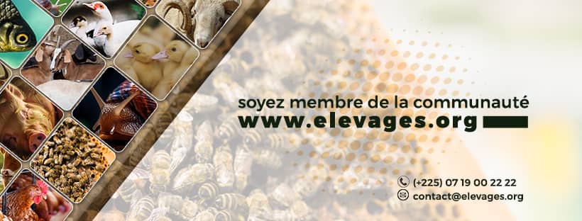 Actualités