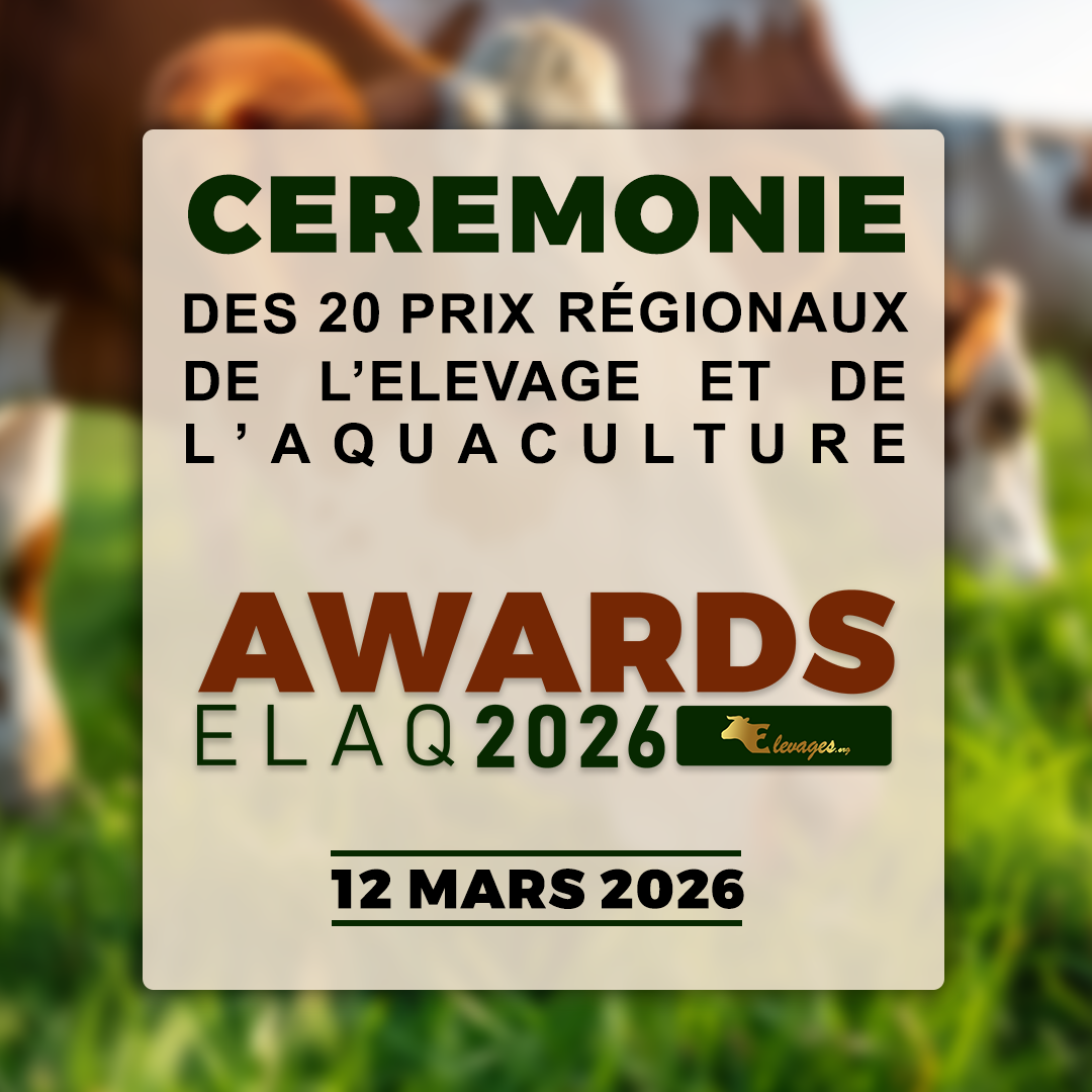 Publicité 1