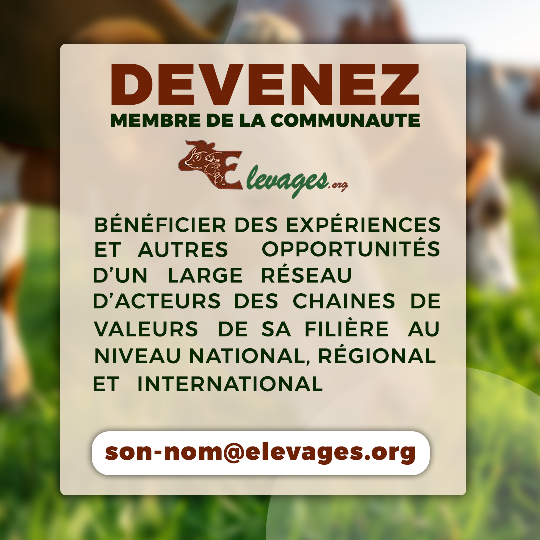 Publicité 3